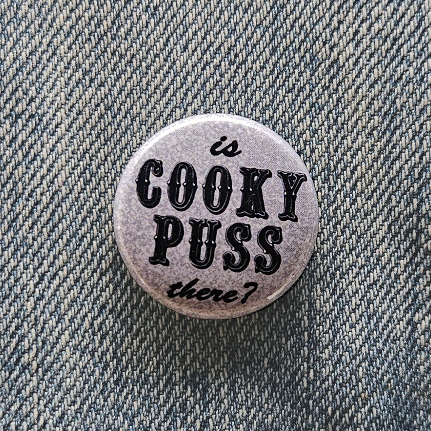 BEASTIE BOYS "IS COOKY PUSS THERE?"